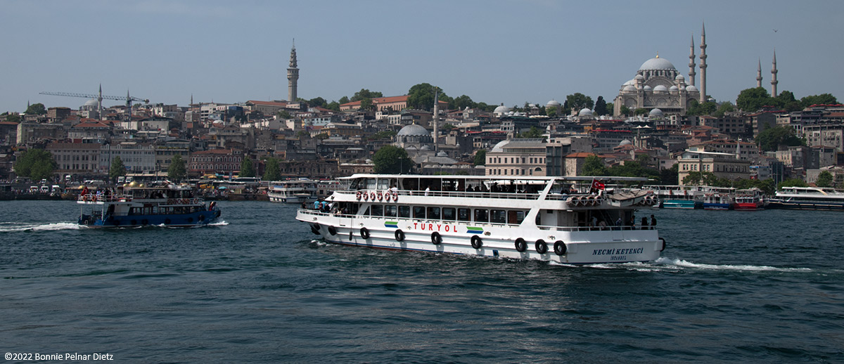 cruise