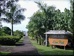 Thalassa Dive Center Manado